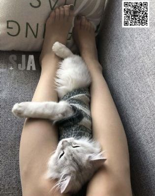 狠狠干视频网站_在线视频免费观看
